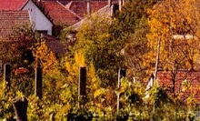 Hungarian Wine Introduction