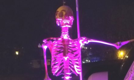 Halloween in Maitland, FLA – Maitland Art Center Tours