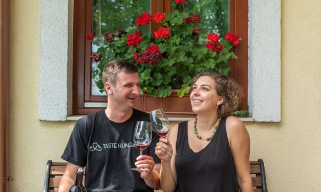 Taste Hungary Wines and Tours